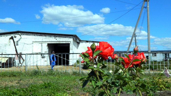 DSCN1538.jpg