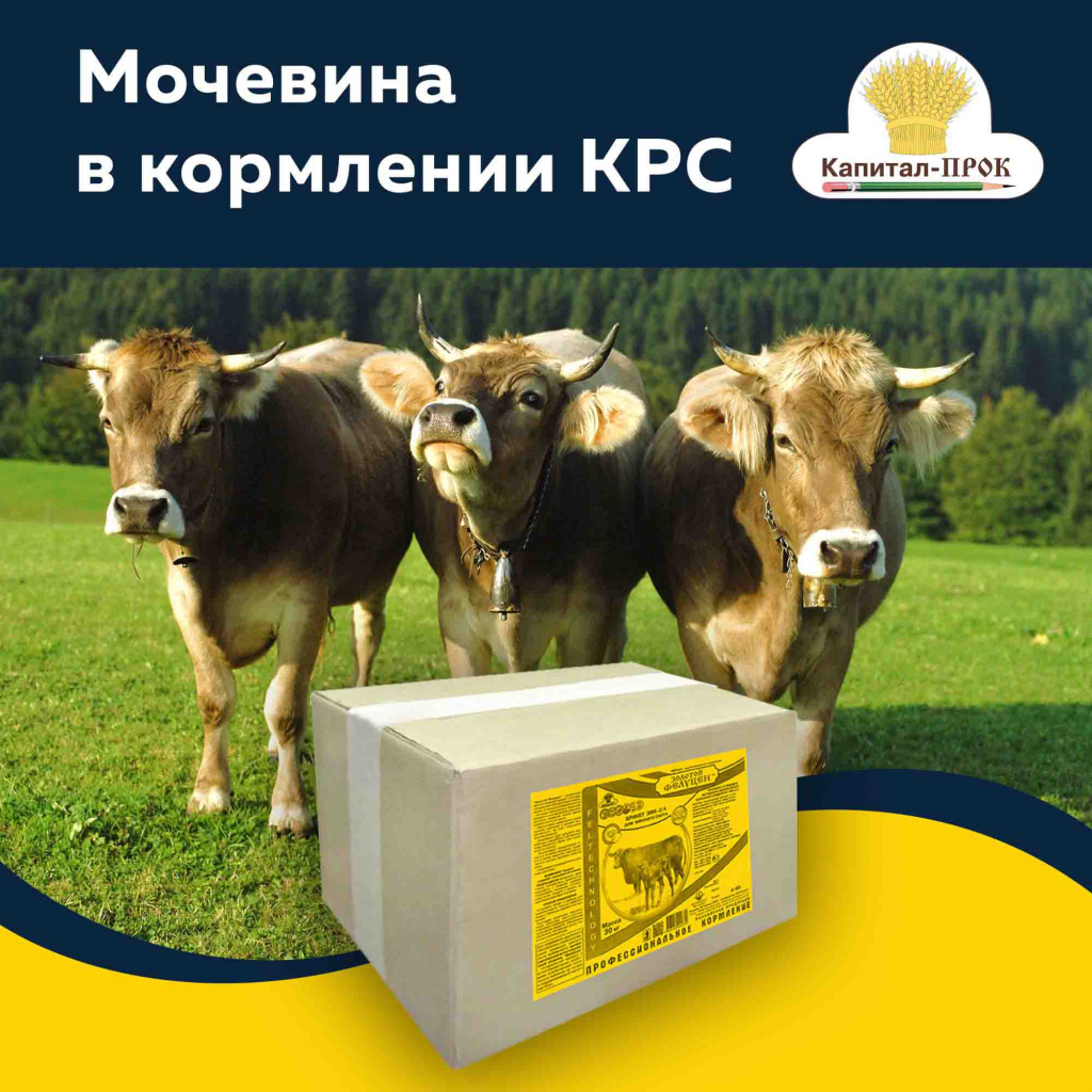 3jt3bt1rcmch10znrd2745he4lvp1qfw.jpg