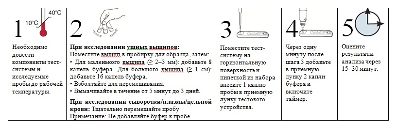 Т1 (2).jpg
