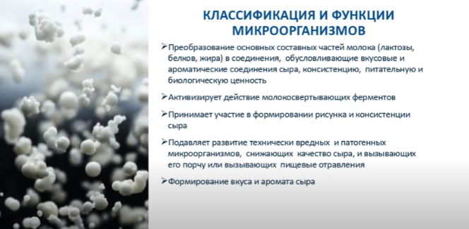 выв.png