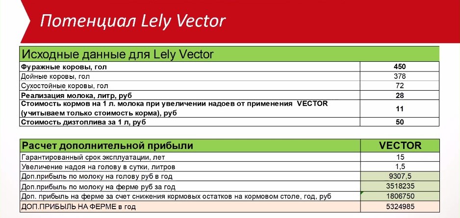 Л29.jpg