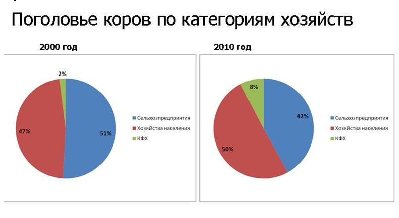 статистика_коровы1.JPG