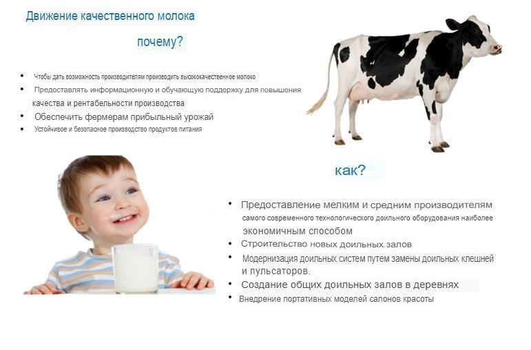 Lacto3000.translated.jpg