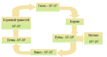 221221131у.png 221221131у.png