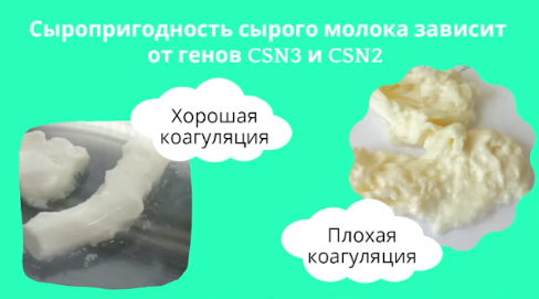 Безымянный.png Безымянный.png