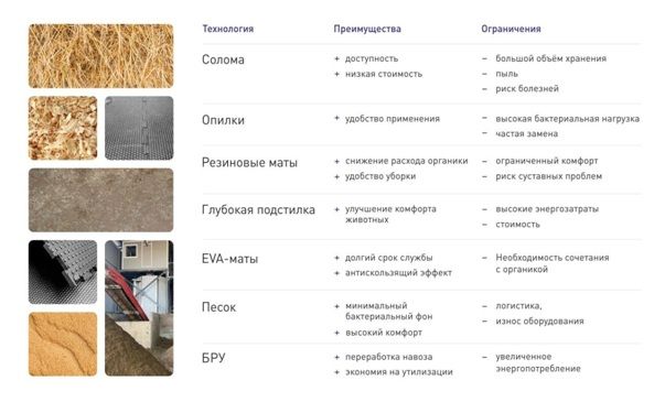 Без имени.jpg