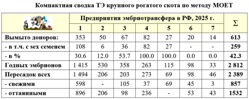 1а. Компактная.png