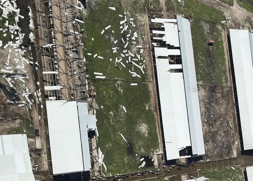 Dakin Dairy Farms lost more than 250 cows.jpg
