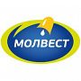 Пресс-служба ГК «Молвест»