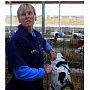 Катарина Берг, руководитель Berge Veterinary Consulting BVBA