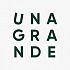 Владимир Коптелов, Генеральный директор Unagrande Company