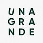Владимир Коптелов, Генеральный директор Unagrande Company