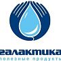 Представители ГК «Галактика»